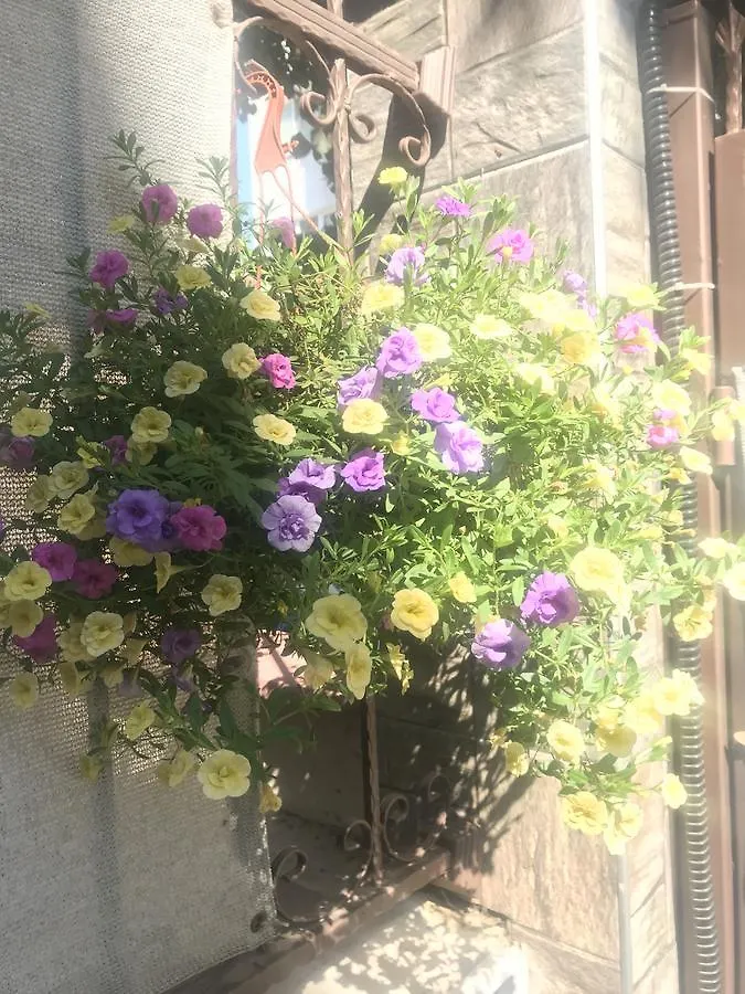 White Rose Guest Rooms Бургас Болгария